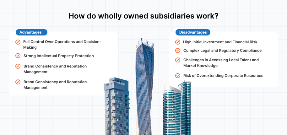 wholly-owned-subsidiary